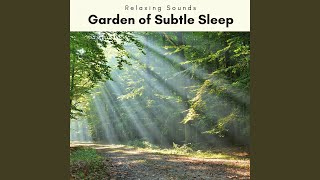 Nature Soft Music for Hard Dreams pt. 4 screenshot 4