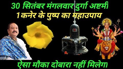 30 सितंबर दुर्गा अष्टमी के दिन कनेर के पुष्प का यह उपाय करें पंडित प्रदीप मिश्रा जी सीहोर वाले 