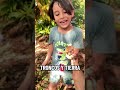 Datos Curiosos "Cochinillas" #niños #datoscuriosos #elmundodejoseph #viral #aventura