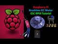 Raspberry Pi Motor Control & RPM Measurement Tutorial