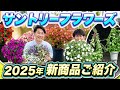 【サントリーフラワーズ】2025年新商品のご紹介！