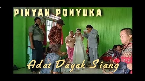Acara setelah pernikahan yaitu Adat Pinyan Ponyuka || Dayak Siang