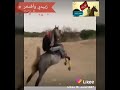 زبيدي وأفتخر