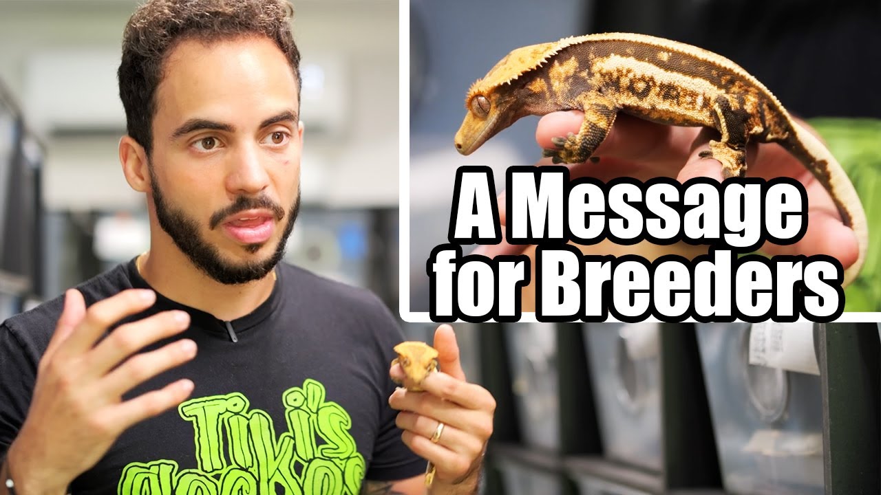Our Responsibility as Reptile Breeders. YouTube