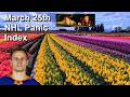 NHL Panic Index, March 25th 2026 Edition