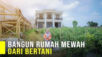 Guru Honorer Bangun Rumah Mewah Dari Bertani, Modal Ratusan Ribu Bisa Sukses