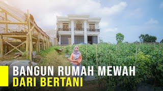 Guru Honorer Bangun Rumah Mewah Dari Bertani, Modal Ratusan Ribu Bisa Sukses