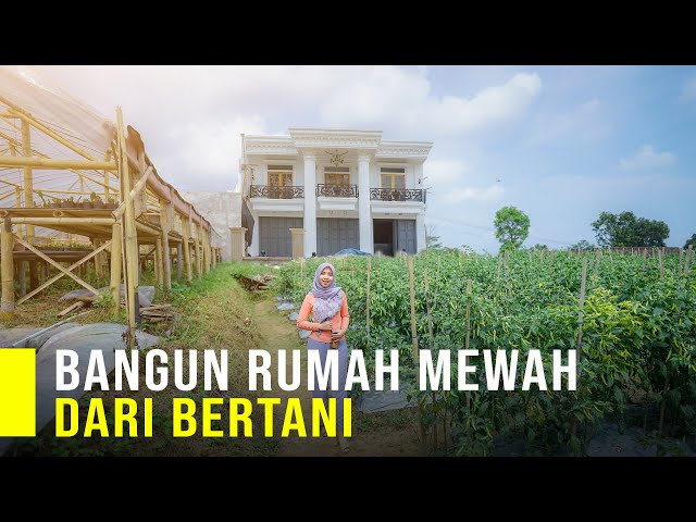 Guru Honorer Bangun Rumah Mewah Dari Bertani, Modal Ratusan Ribu Bisa Sukses class=