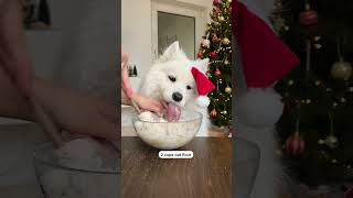 Dog Makes Christmas Cookies Day 14 Advent Calendar