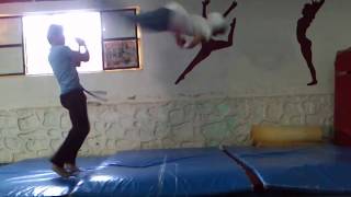 tricking sampler 2014 ramos