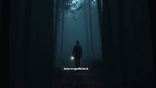 Hoia Baciu Ormanı: Avrupa’nın En Lanetli Yeri 🌲