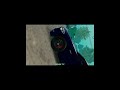 edit car parking коментарі оцінка#carparkingmultiplayer#edit