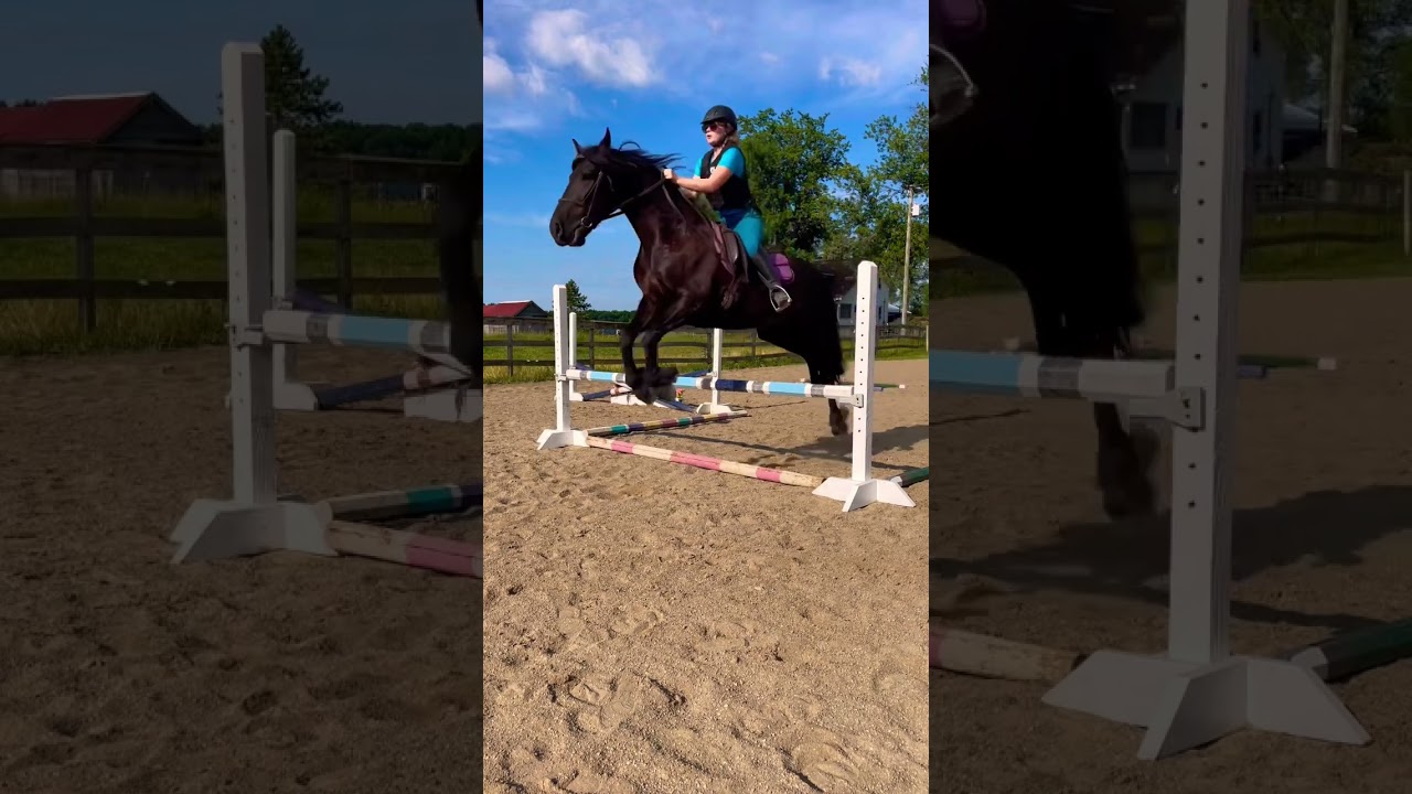 Jumping my Friesian X!