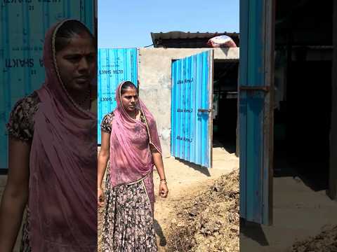 #cow #baffalo #dairyfarm #farming #murraha #cowfarm #dairyherd #cattlefarm #dairyproducts #hfcross