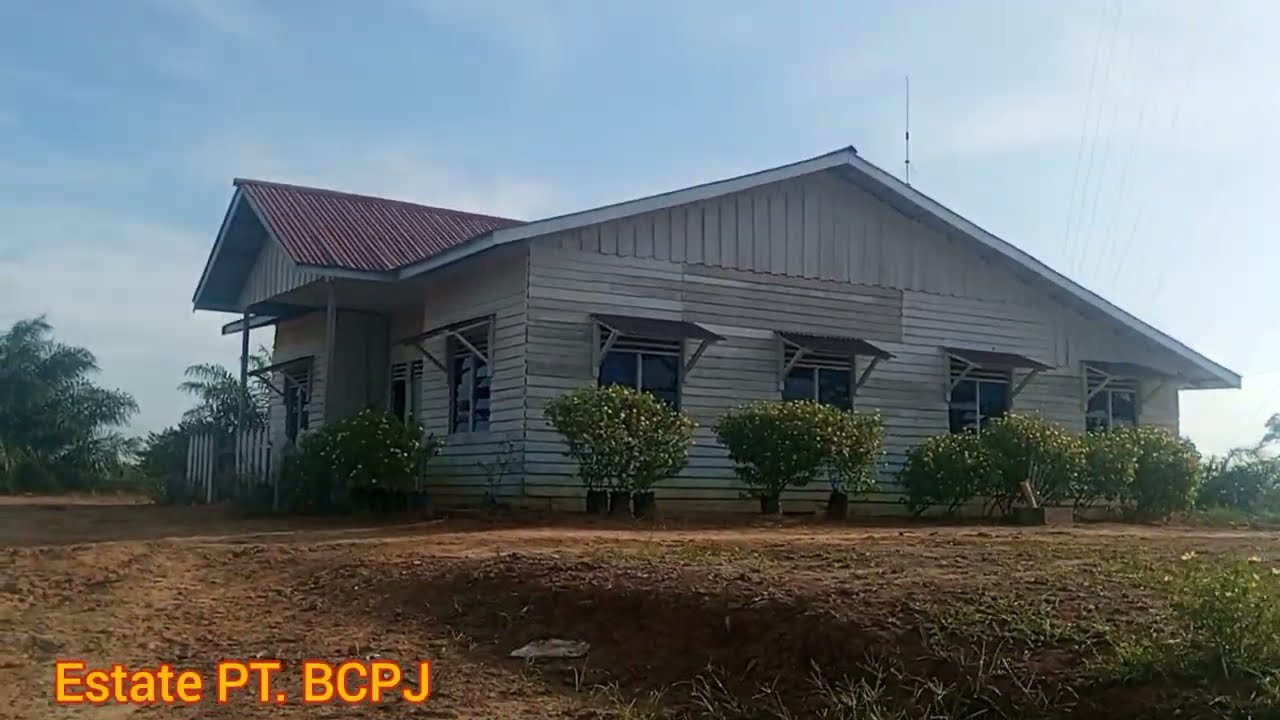 PT.BCPJ Kutai Barat Kalimantan Timur Perkebunan Sawit