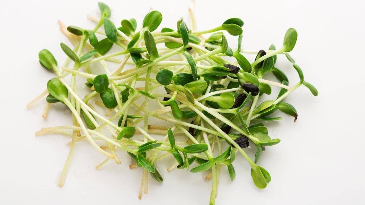Do Broccoli Sprouts Have More Anti-Cancer Potential Than Broccoli? | Rachael Ray Show