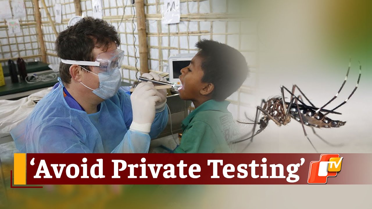 Odisha Public Health Director Urges For Prompt Dengue Testing | OTV NEws