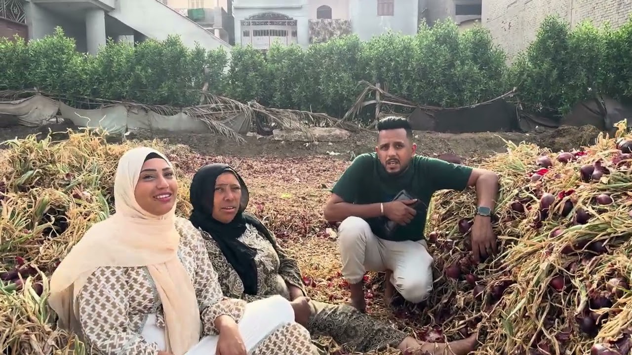 حمدى اتعلم من حنان وعايز يضحك على الحاجه سوسو