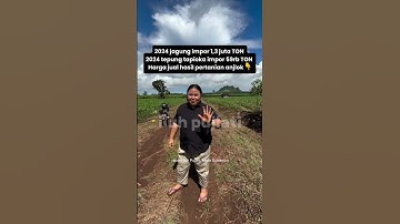 Keluh Kesah Petani Tentang Kebijakan Impor