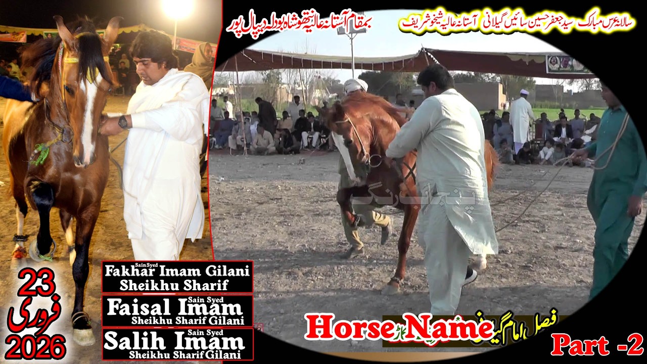 Mawali l Yar Badshah l Hira l Gulab 1 Horse Dance l 23 February 2026 l Nathoo Shah Bodla Depalpur 02