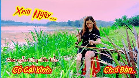 #Trilamnong, Khúc Đờn CÔ GÁI XINH Cover /Văn Thiên Tường .