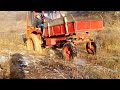 Трактор пытается выйти с болота