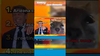Ranking the Funniest Cats Crashing Live TV Ever 📺🐱 #cats  #funnycats  #livetv