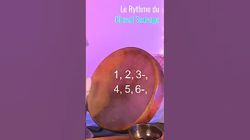 Rythme Du Cheval Sauvage Tambour Chamanique Pierre LE GARRERES 