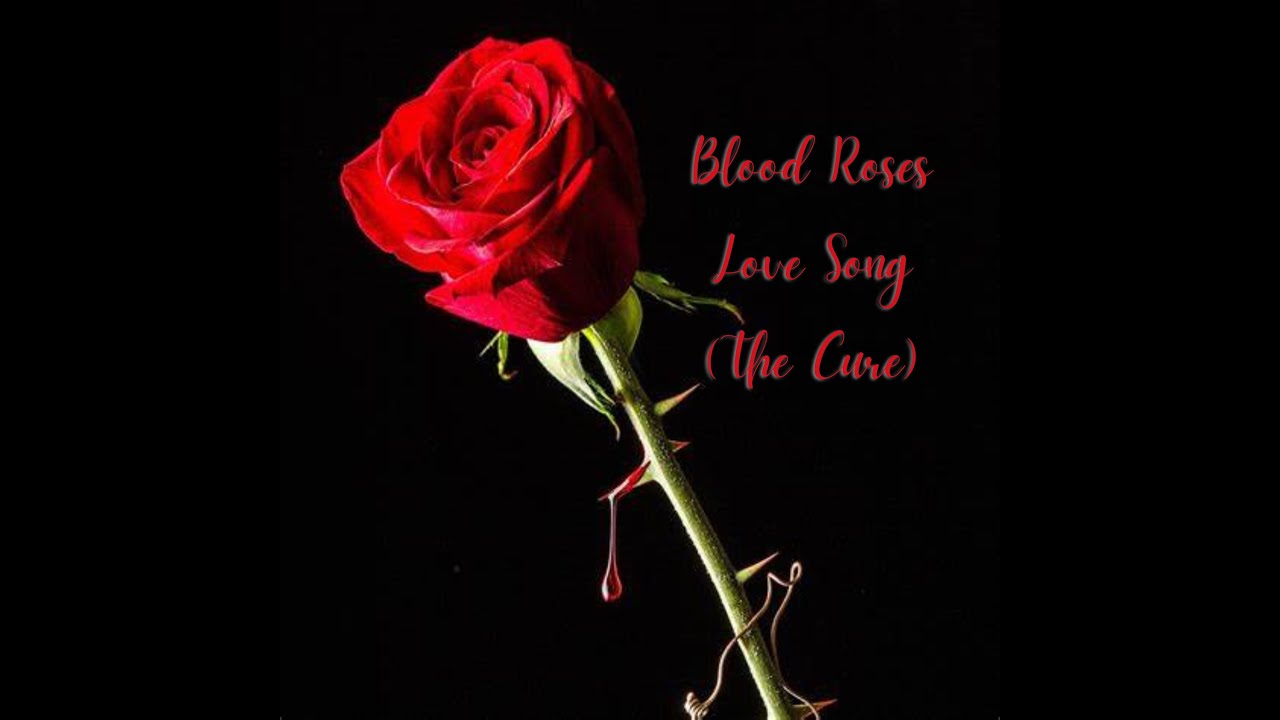 Cover Photo Blood Roses Love Song - Blood Roses (The Cure cover) - YouTube
