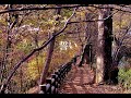 德永英明 ( 誓い ) Cover