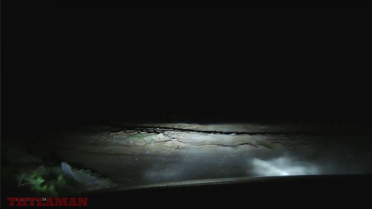 (Bonus) Glass Gorge night drive Flinders Ranges - Thylaman's Quest S3