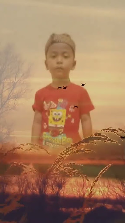 Video ini mengesankan, ayo  lihat aja! https://sck.io/p/4z4GujP1