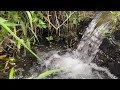 Real Water Sounds Live