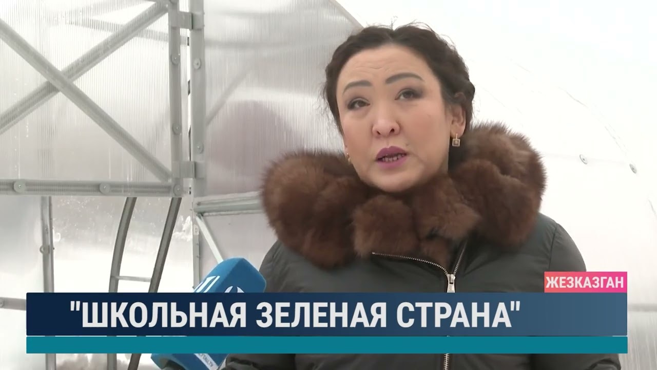 "Школьная зеленая страна"