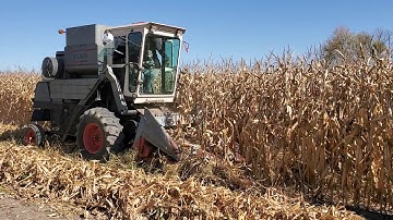 Harvest 2020 Gleaner K and 3 row corn head