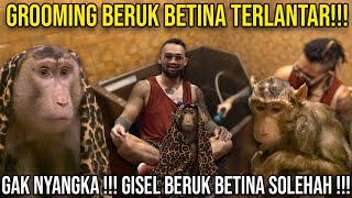 GROOMING AN ABANDONED FEMALE MACACO!!! I DIDN'T EXPECT IT!!! GISELS A SOLEHAH FEMALE MACACO!!! #K...