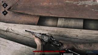 Hunt Showdown Stuck BUG