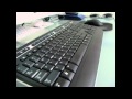 ASMR Typing - Microsoft Wireless Keyboard