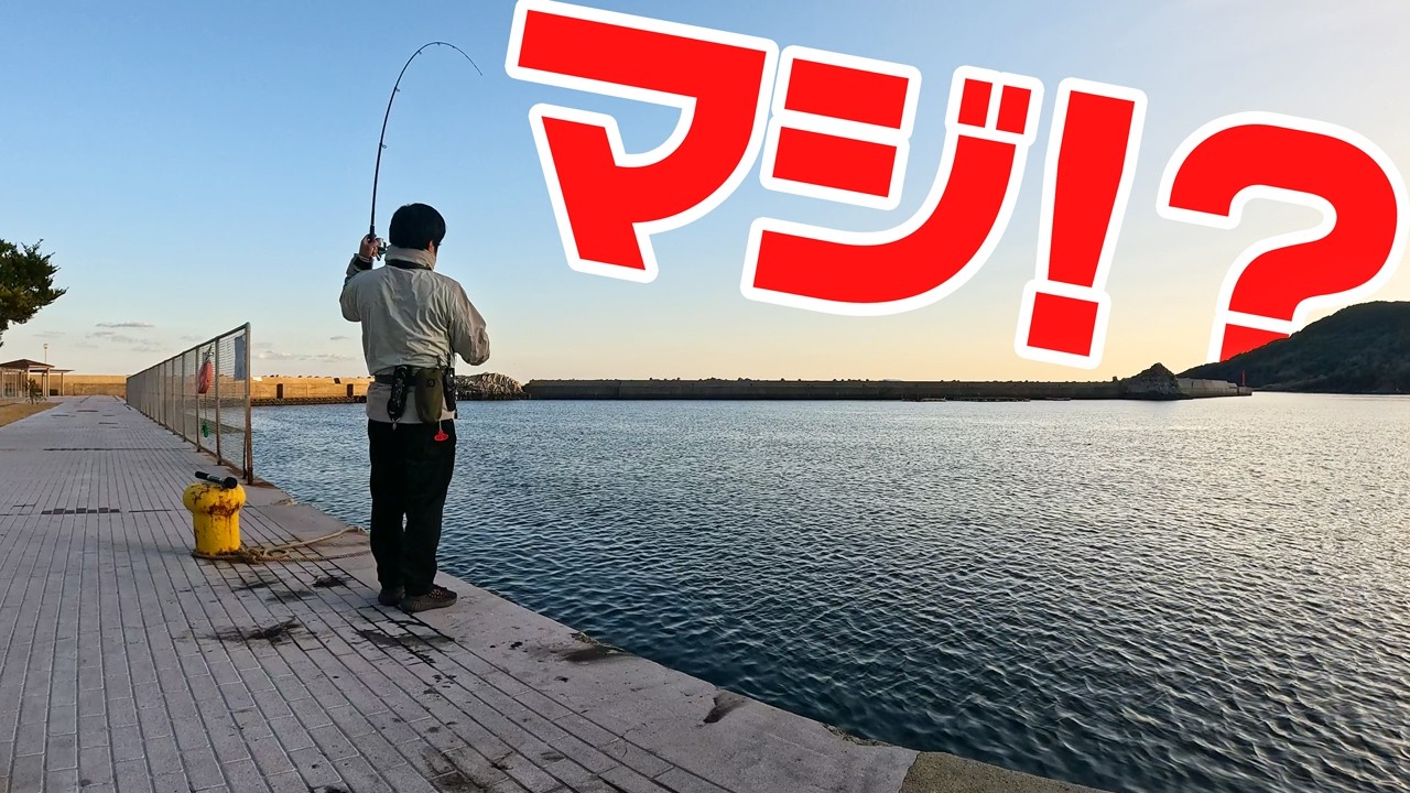 【壱岐島生活】島に60cmのアジが居ると聞いて港に行くと…