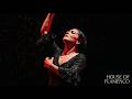 AGÜITA DEL CIELO | Flamenco Pasional con mucho Duende y Sentimiento