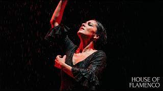 AGÜITA DEL CIELO | Flamenco Pasional con mucho Duende y Sentimiento