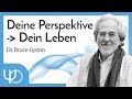 Deine Perspektive bestimmt dein Leben  🙌 🤔| Bruce Lipton (deutsch)