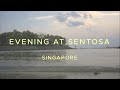 Evening at sentosa  a short film  sony a7 iv  cinematic