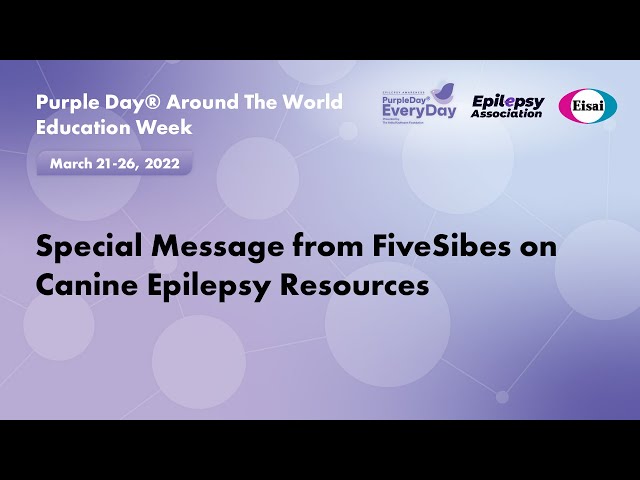 Special Message from FiveSibes on Canine Epilepsy Resources