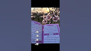 النبي غالي عليك تابعني واسمع للاخر صلو عليه اللهم صلي على نبينا محمد Avengers الكوليرا هيناتا 