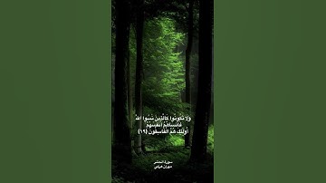 آواخر سورة الحشر / بصوت القارئ الكردي / مهران هركي