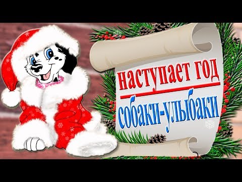 🎄🎅В ОЖИДАНИИ ЧУДА. Прикольное поздравление с Новым годом со вкусом счастья