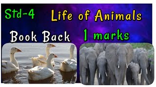 4th std science Term-3 unit-2 Life  of Animals  book answers 1marks