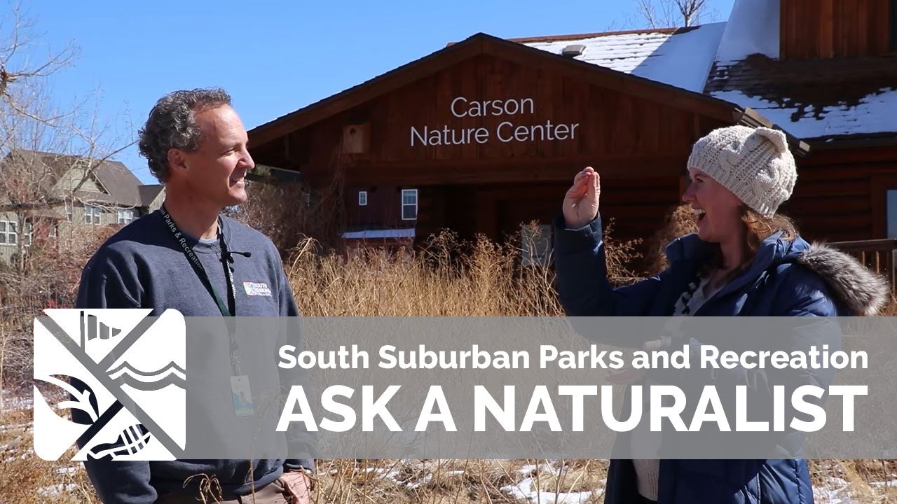 SSPRD Presents: Ask a Naturalist