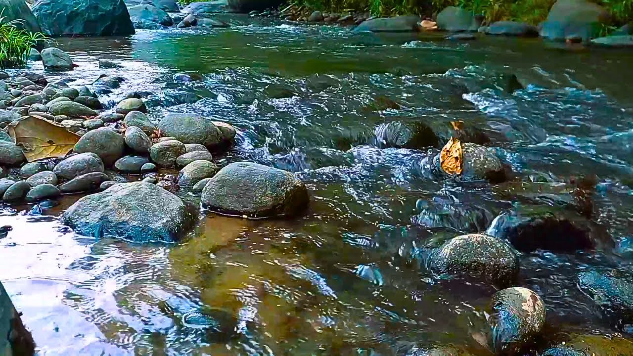 RELAXING SOUNDS FOR SLEEPING | BEAUTIFUL FLOWING FOREST STREAM FOR DEEP SLEEP AND RELAXATION #121